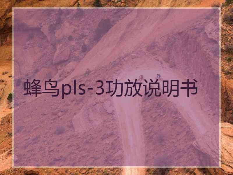 蜂鸟pls-3功放说明书