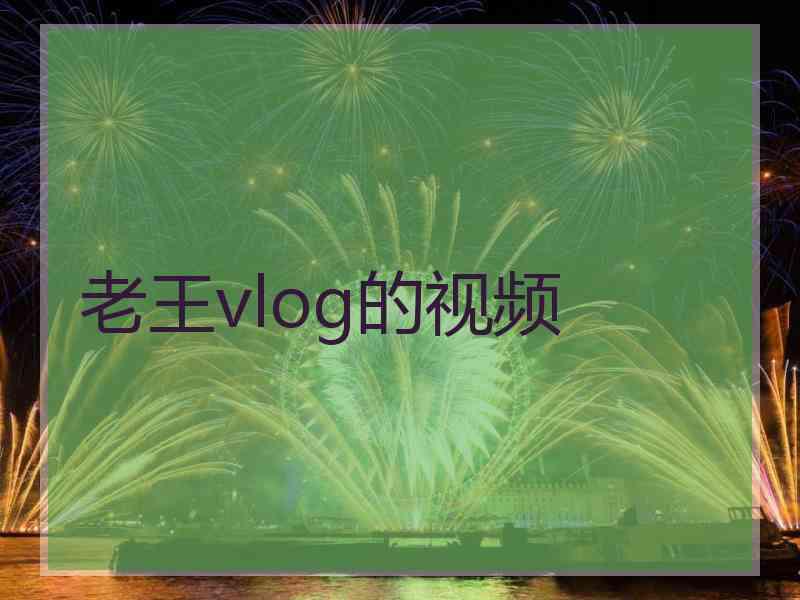 老王vlog的视频