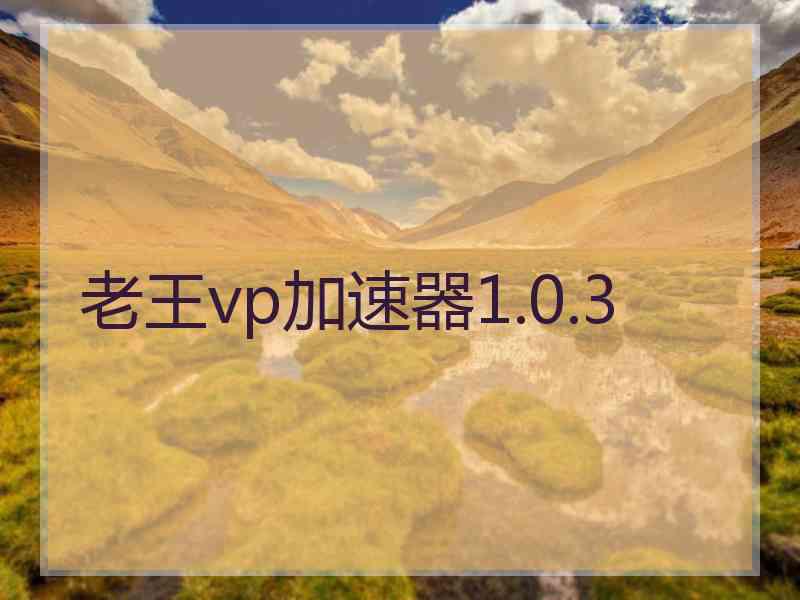 老王vp加速器1.0.3