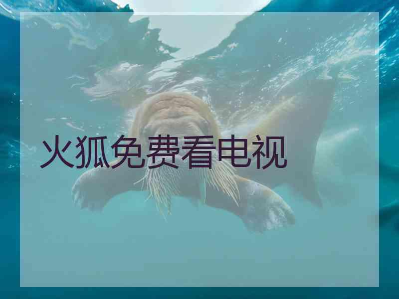 火狐免费看电视