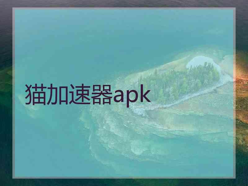 猫加速器apk