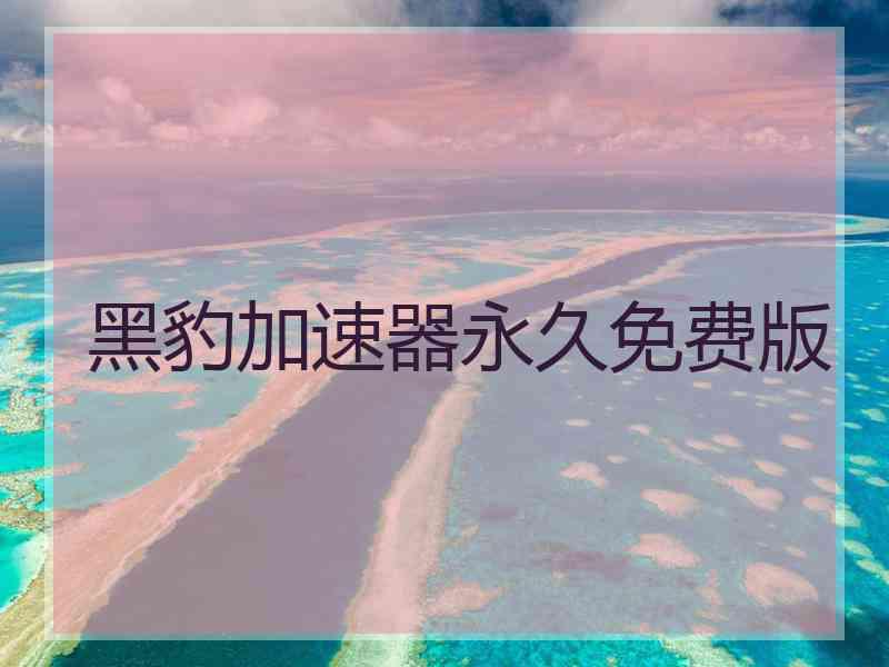 黑豹加速器永久免费版