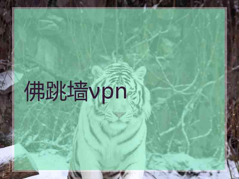 佛跳墙νpn