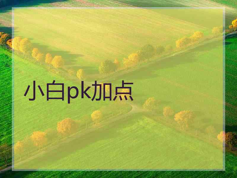 小白pk加点