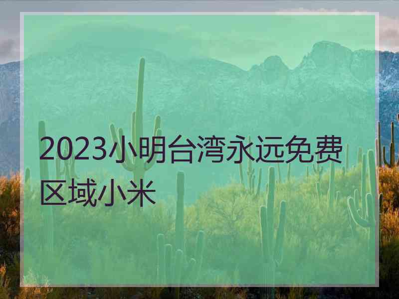 2023小明台湾永远免费区域小米