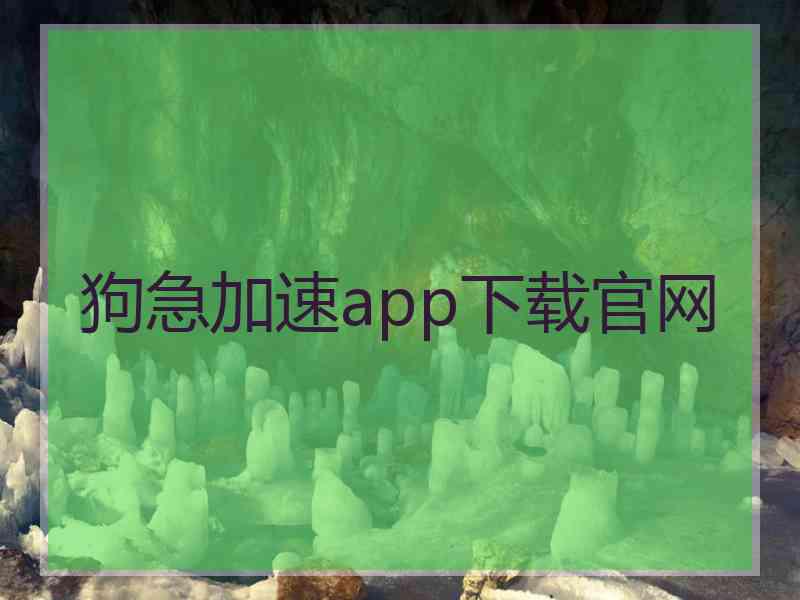 狗急加速app下载官网