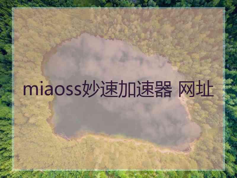 miaoss妙速加速器 网址