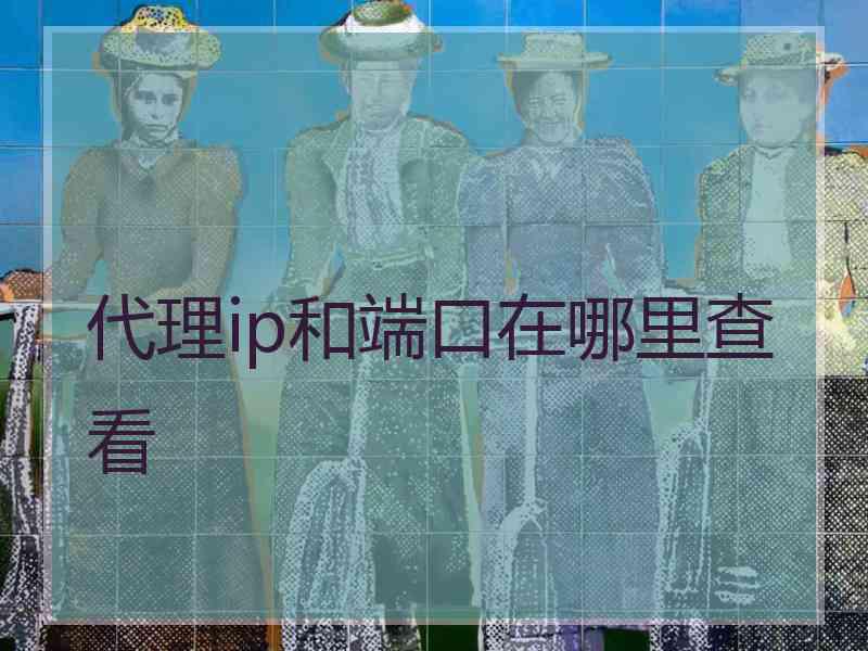 代理ip和端口在哪里查看