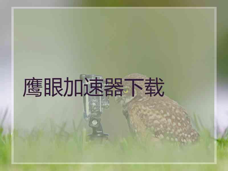 鹰眼加速器下载