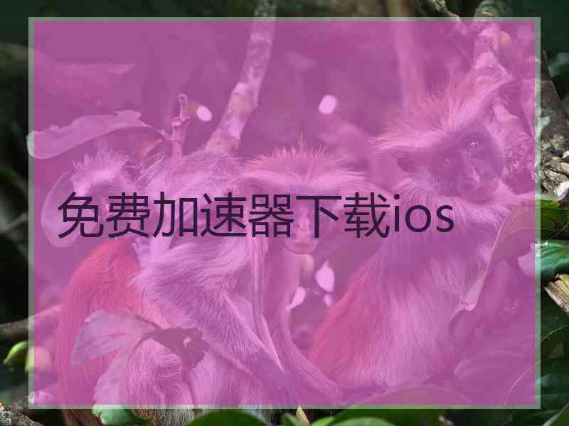 免费加速器下载ios