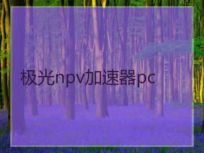 极光npv加速器pc