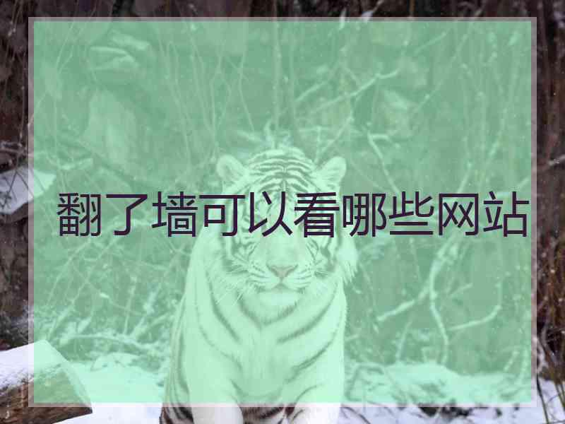 翻了墙可以看哪些网站