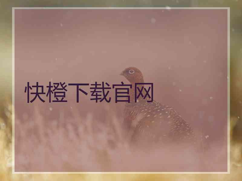 快橙下载官网