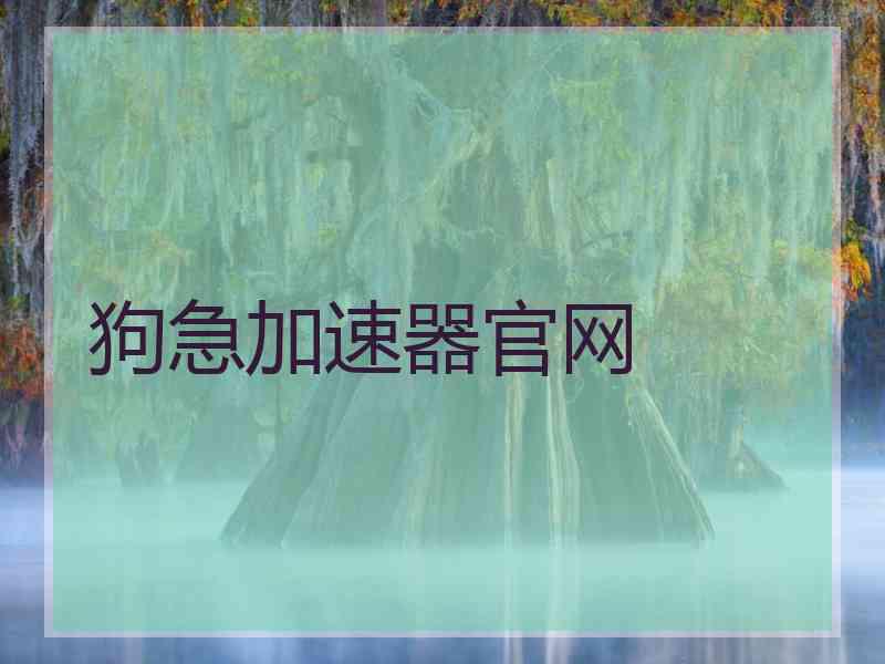 狗急加速器官网