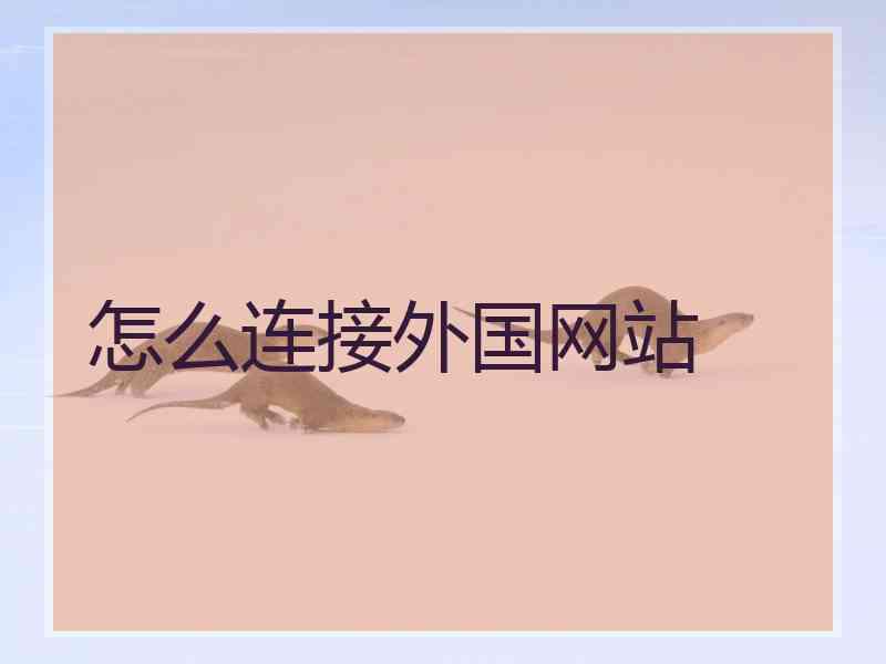 怎么连接外国网站