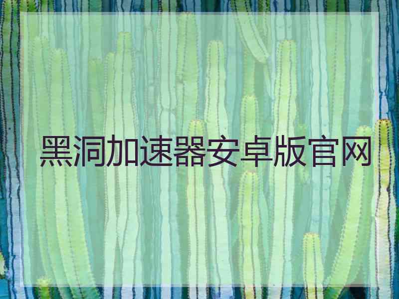 黑洞加速器安卓版官网