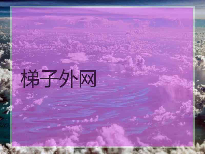梯子外网