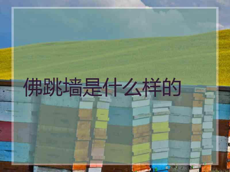 佛跳墙是什么样的