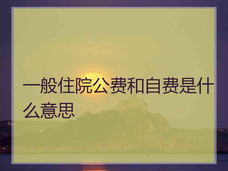 一般住院公费和自费是什么意思