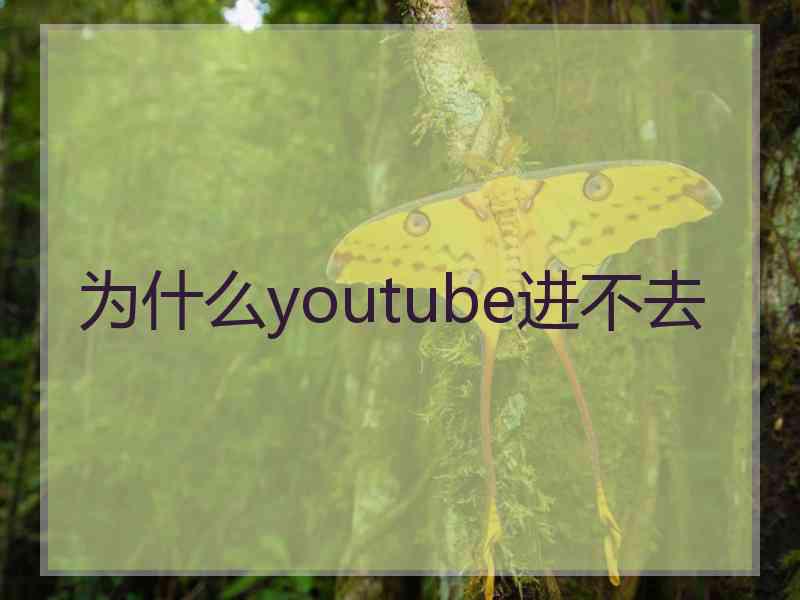 为什么youtube进不去