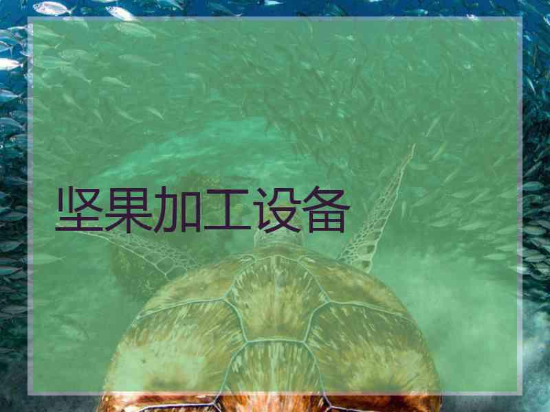 坚果加工设备