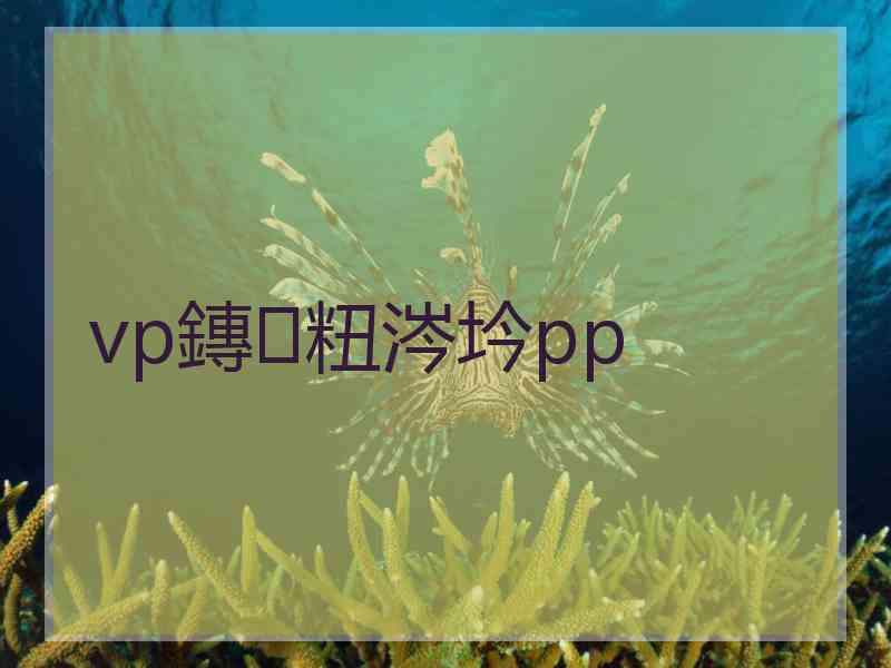 vp鏄粈涔坅pp