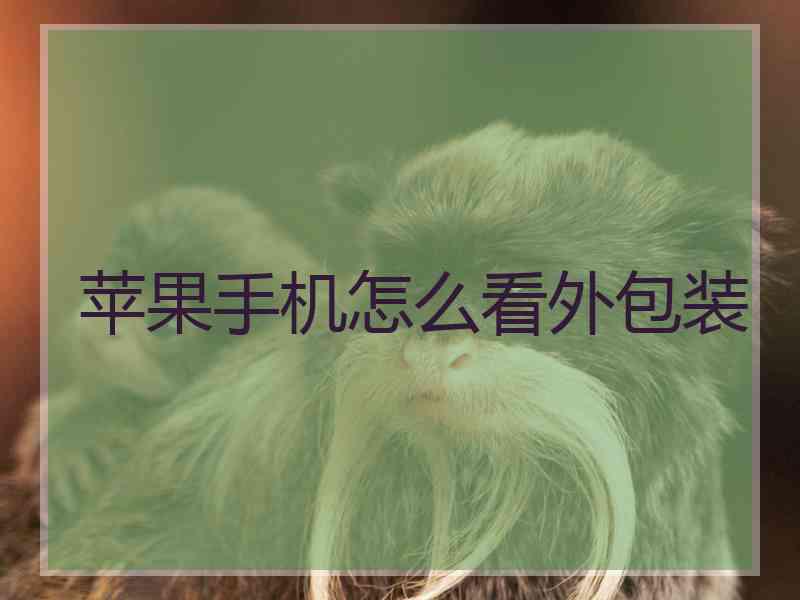 苹果手机怎么看外包装