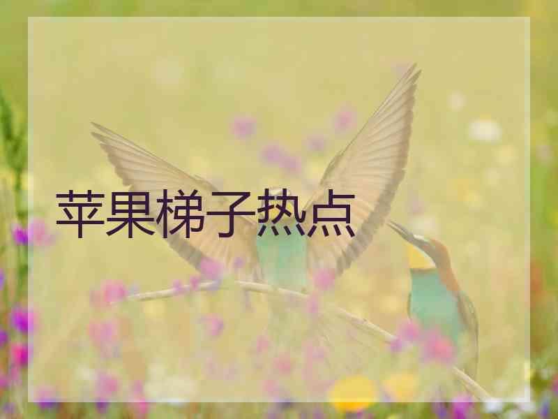 苹果梯子热点