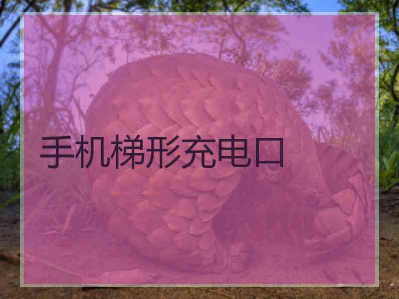手机梯形充电口