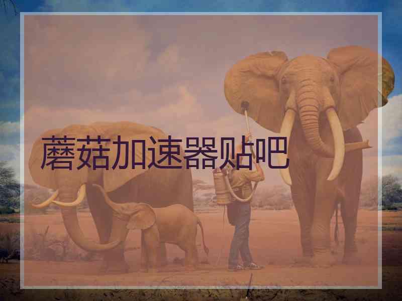 蘑菇加速器贴吧