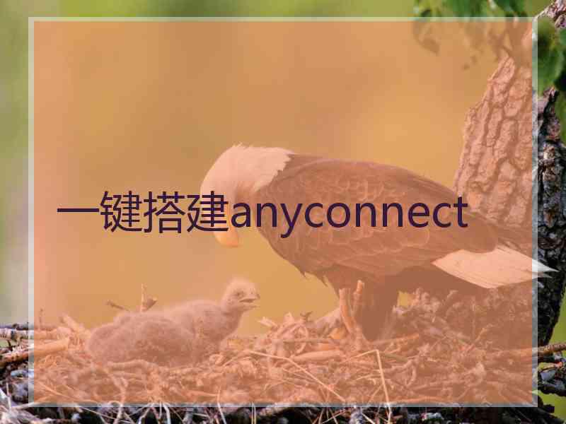 一键搭建anyconnect