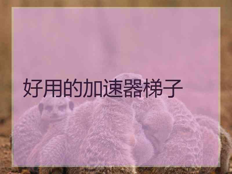 好用的加速器梯子