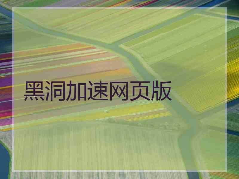 黑洞加速网页版