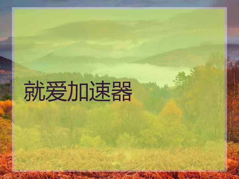 就爱加速器