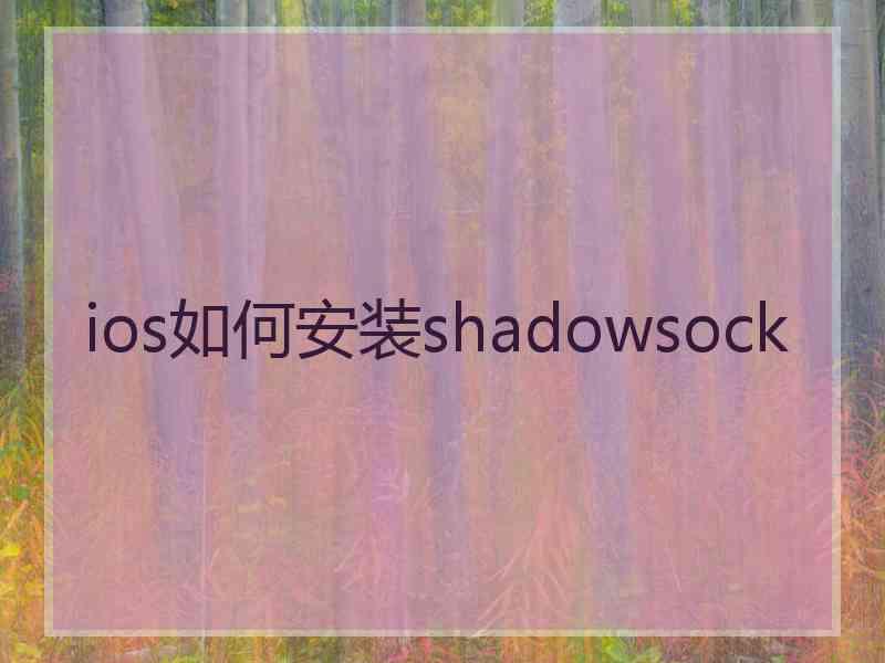 ios如何安装shadowsock