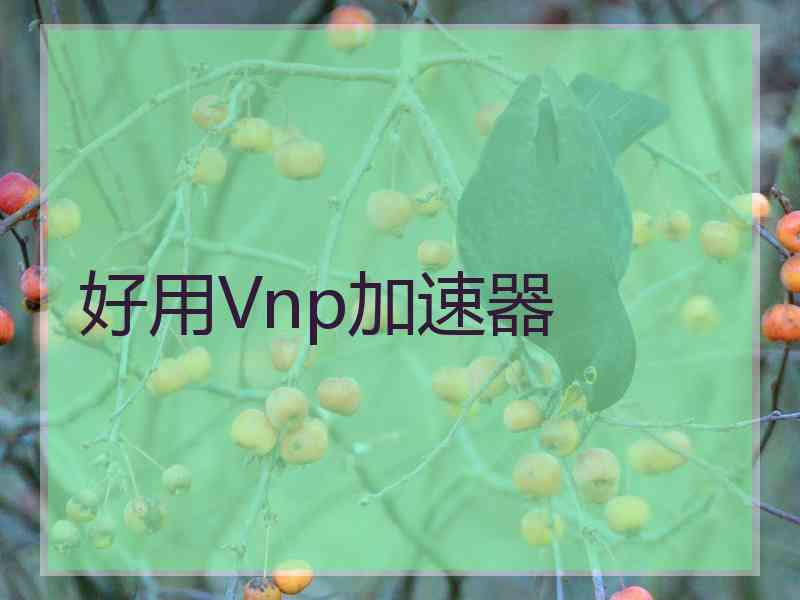 好用Vnp加速器