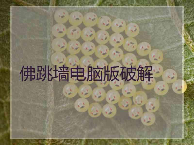 佛跳墙电脑版破解