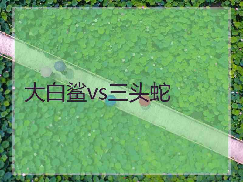 大白鲨vs三头蛇