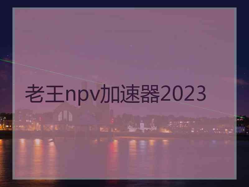 老王npv加速器2023