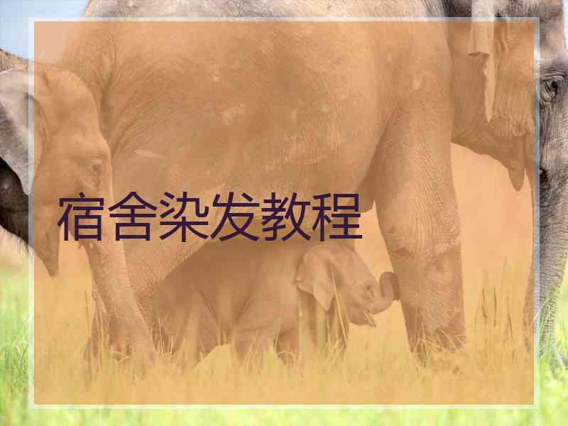 宿舍染发教程
