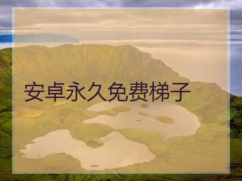 安卓永久免费梯子