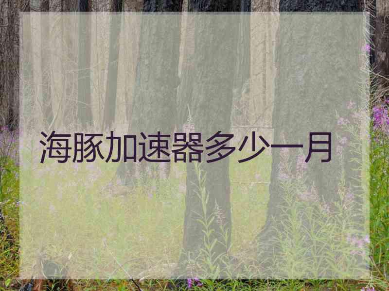 海豚加速器多少一月