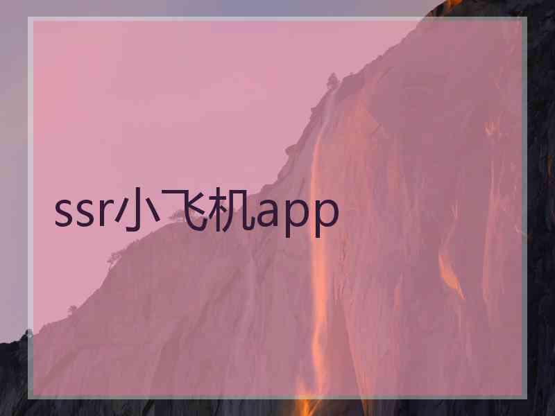 ssr小飞机app
