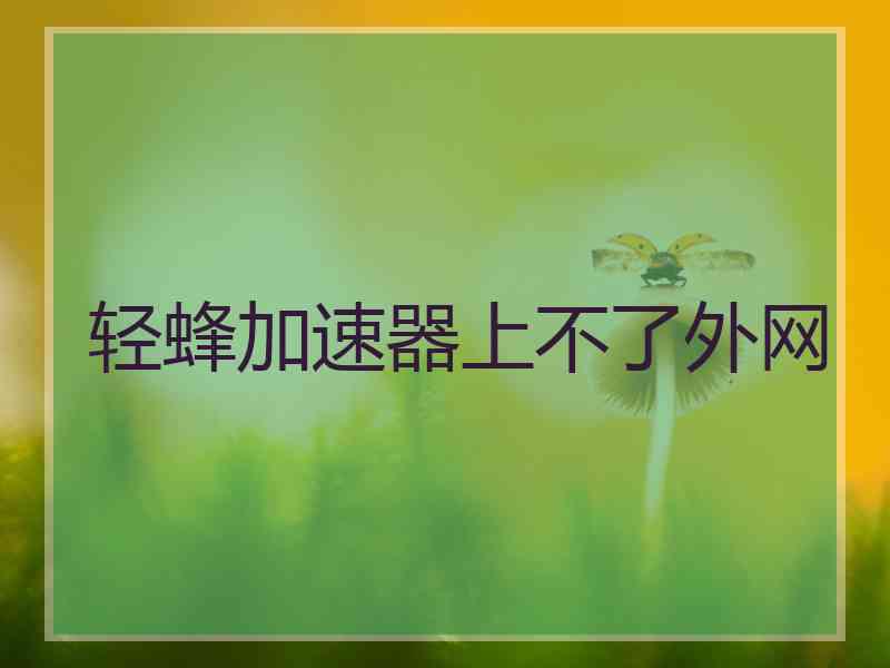 轻蜂加速器上不了外网