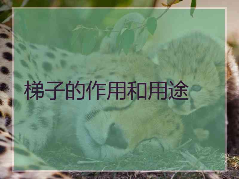 梯子的作用和用途