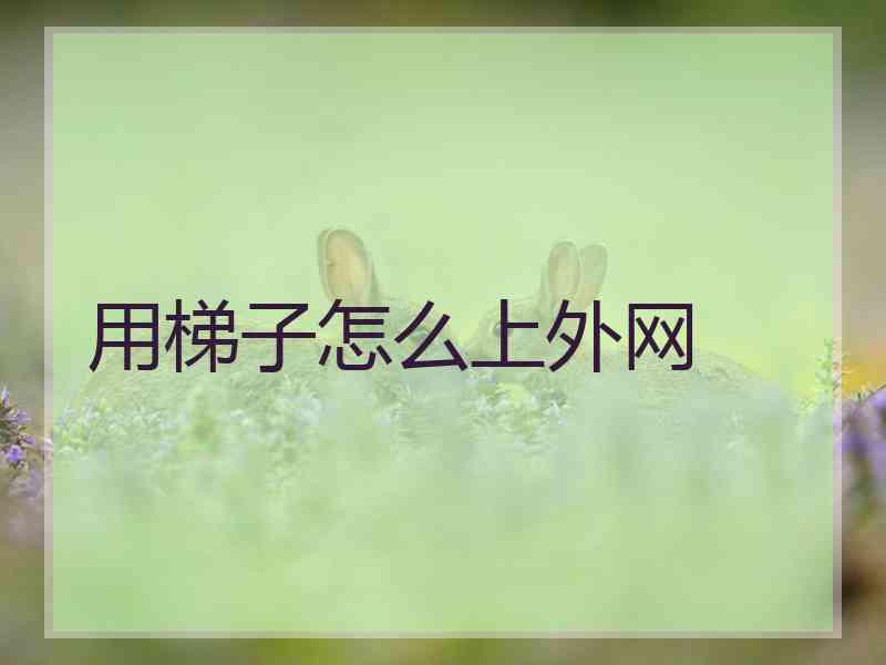 用梯子怎么上外网