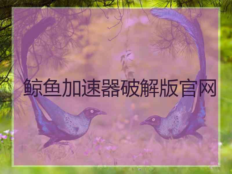鲸鱼加速器破解版官网