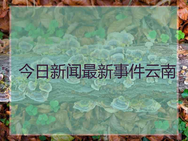今日新闻最新事件云南
