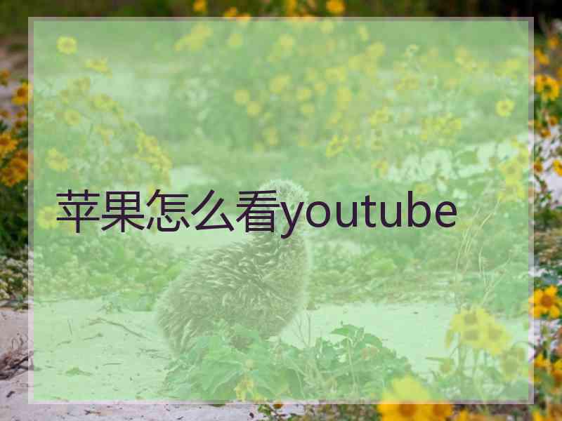 苹果怎么看youtube