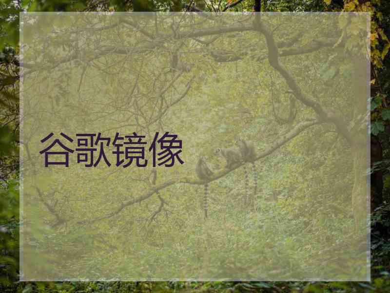 谷歌镜像
